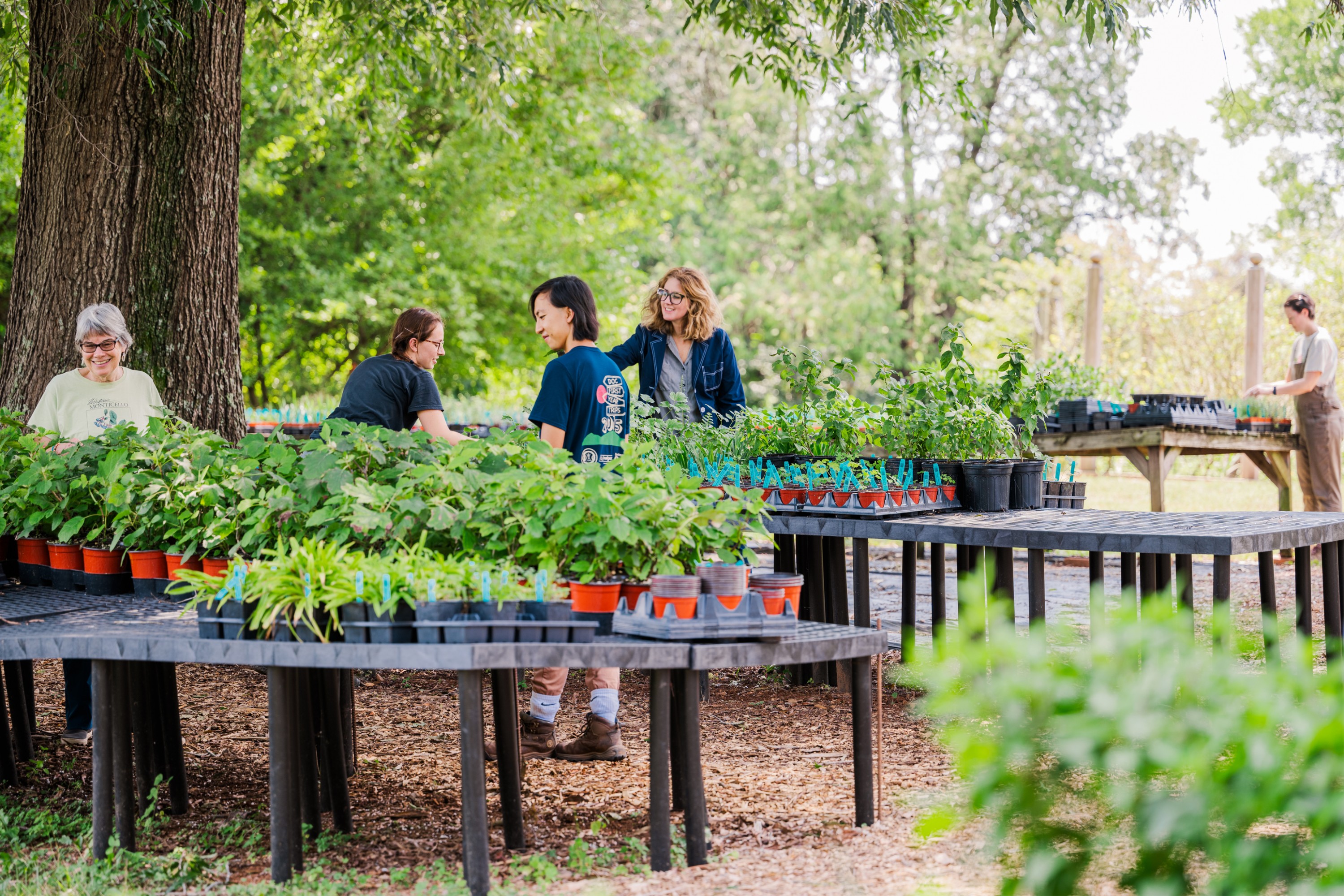 CHP Plant Sale shopping