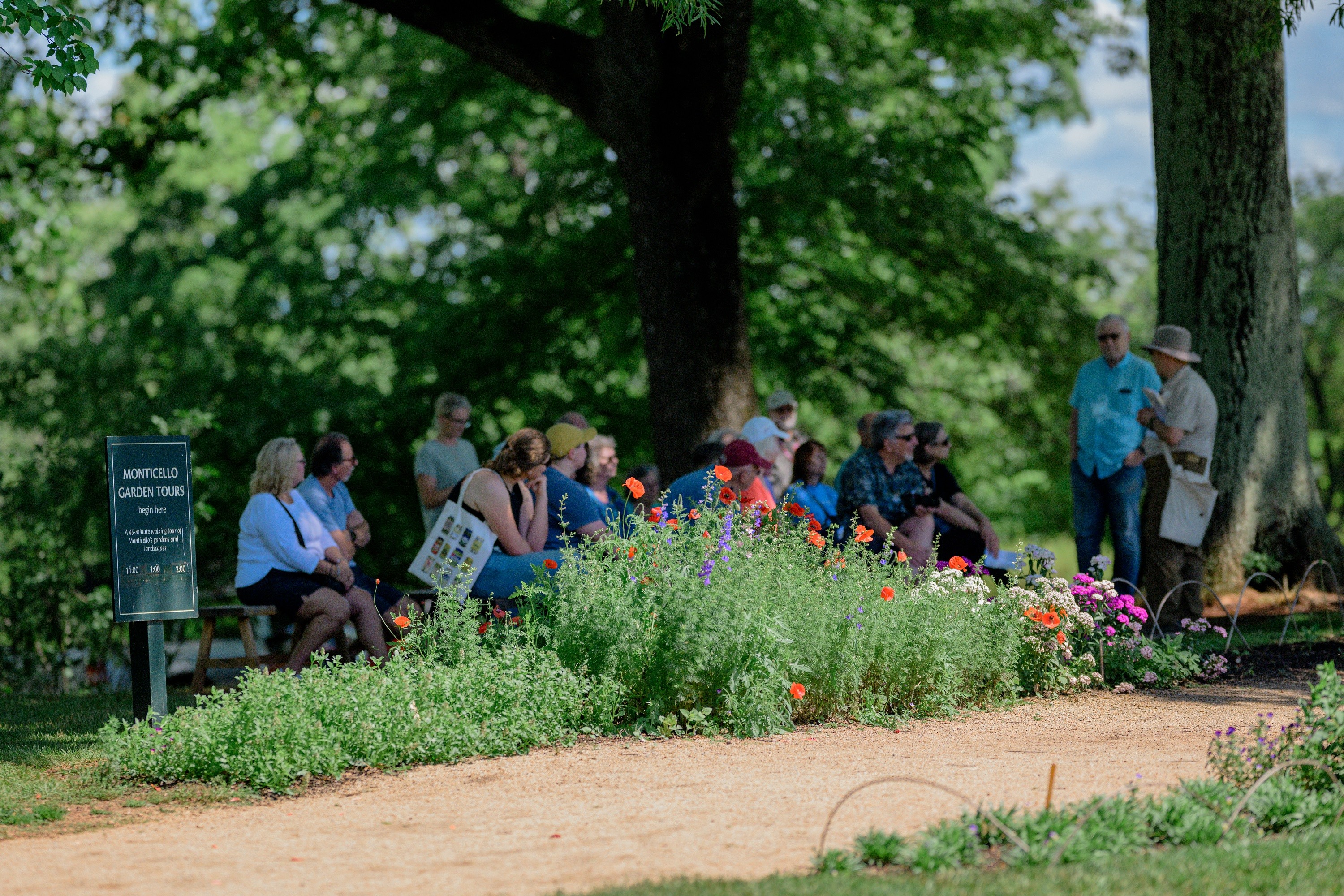 Summer garden tour