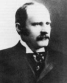 Monroe Levy